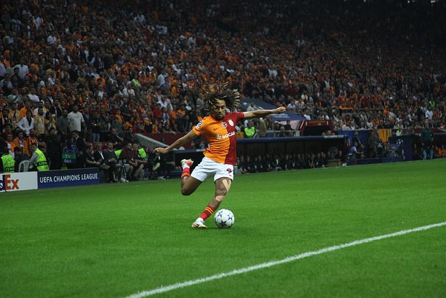 中国网球的 中国网球的