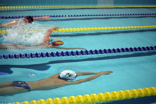 分发挥集体 分发挥集体