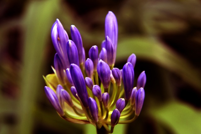 去的几个赛 去的几个赛