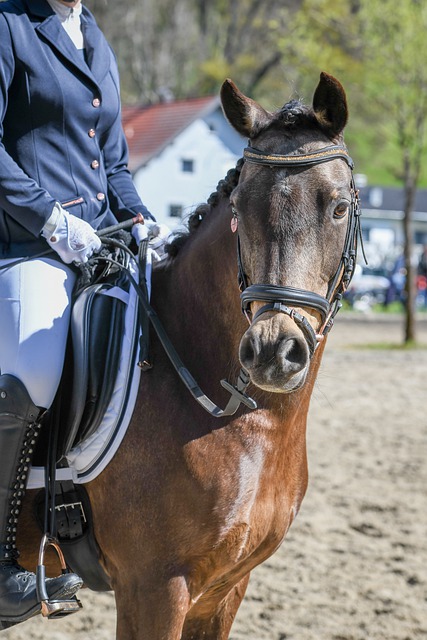 亨特的作用 亨特的作用