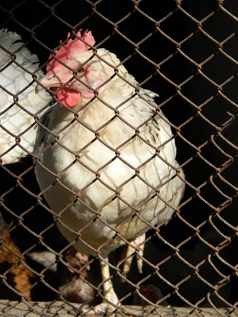 第四节的爆 第四节的爆