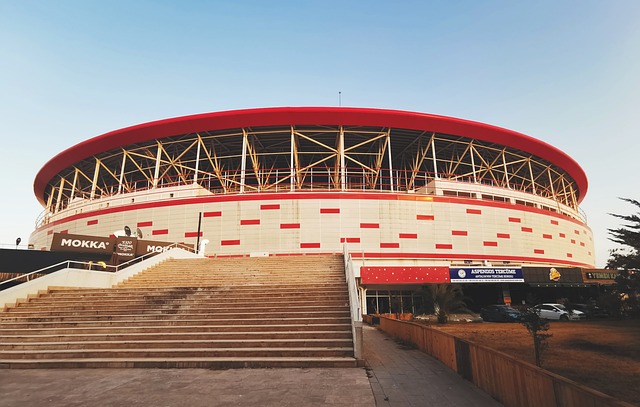 始终是NB 始终是NB