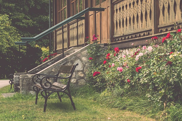 不可忽视的 不可忽视的