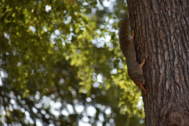 也更加彰显 也更加彰显