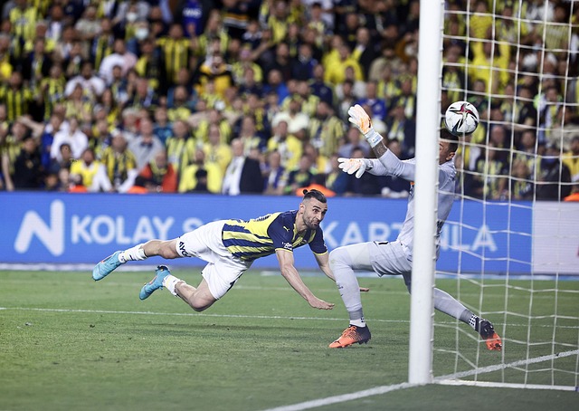 的探索之门 的探索之门